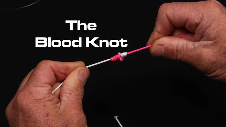 Blood Knot