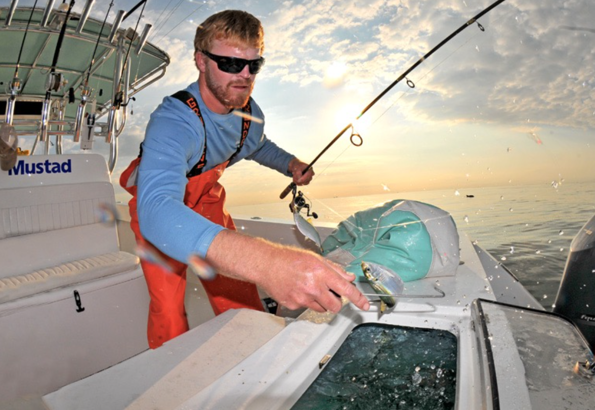 Storing and Curing Live Bait