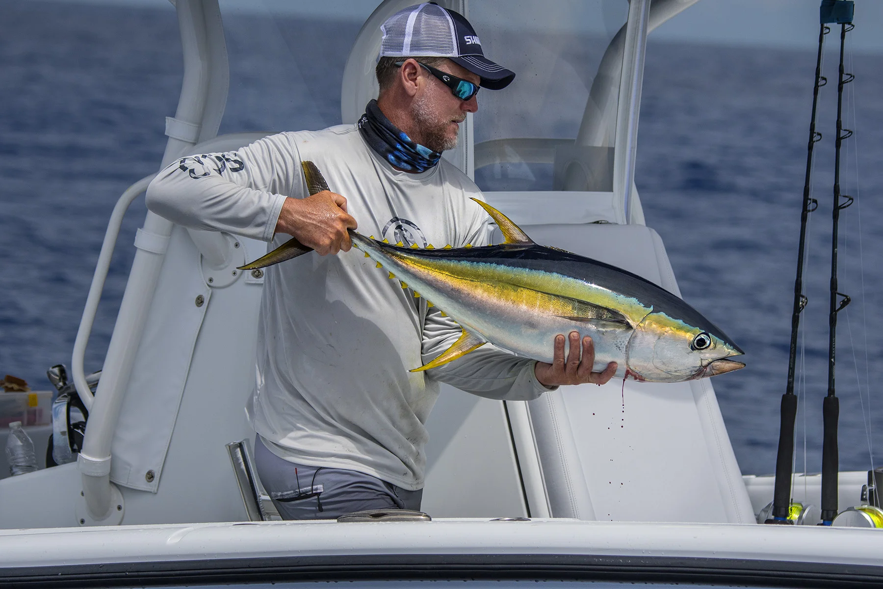 Bimini Yellowfin