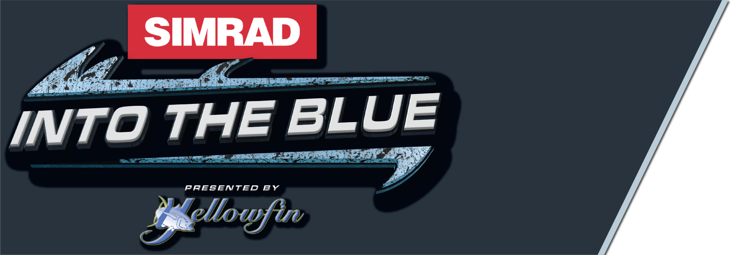 Into the Blue Fishing Blog