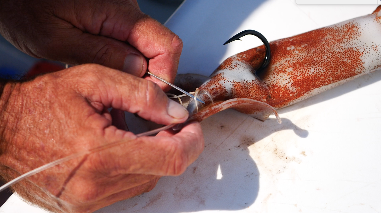  NEW ARTICLE   How To Rig The Most Durable Squid For Swordfish    Read More  