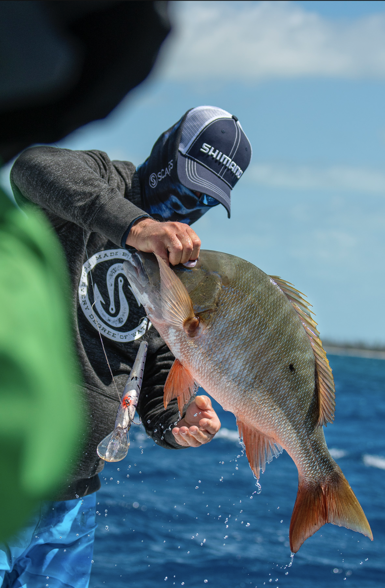  NEW ARTICLE   Handle 4 Dangerous Fish Like A Pro    Read More  