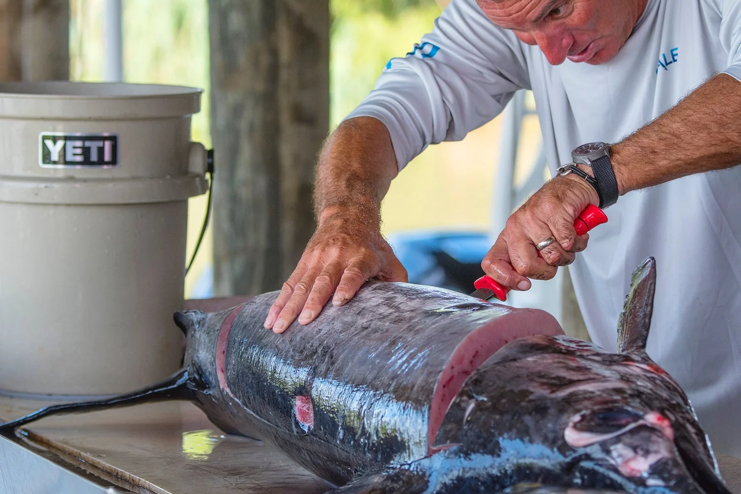 Best Way To Prepare Swordfish Into The Blue Fishing Blog
