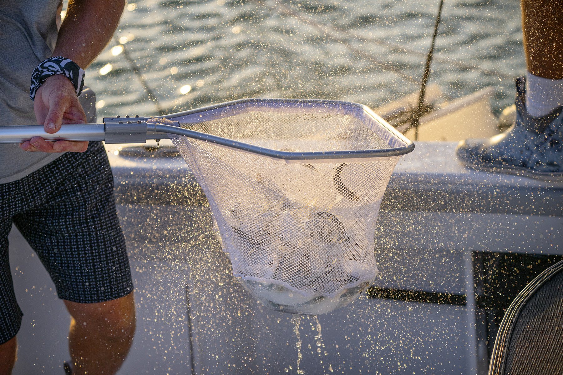 Into the Blue Fishing Blog