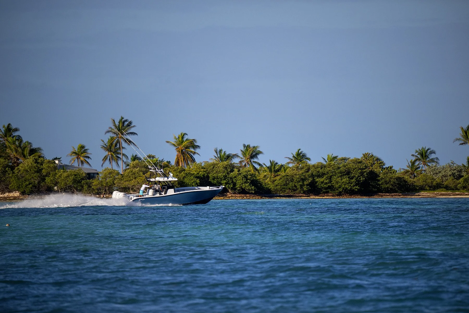 Into the Blue Fishing Blog