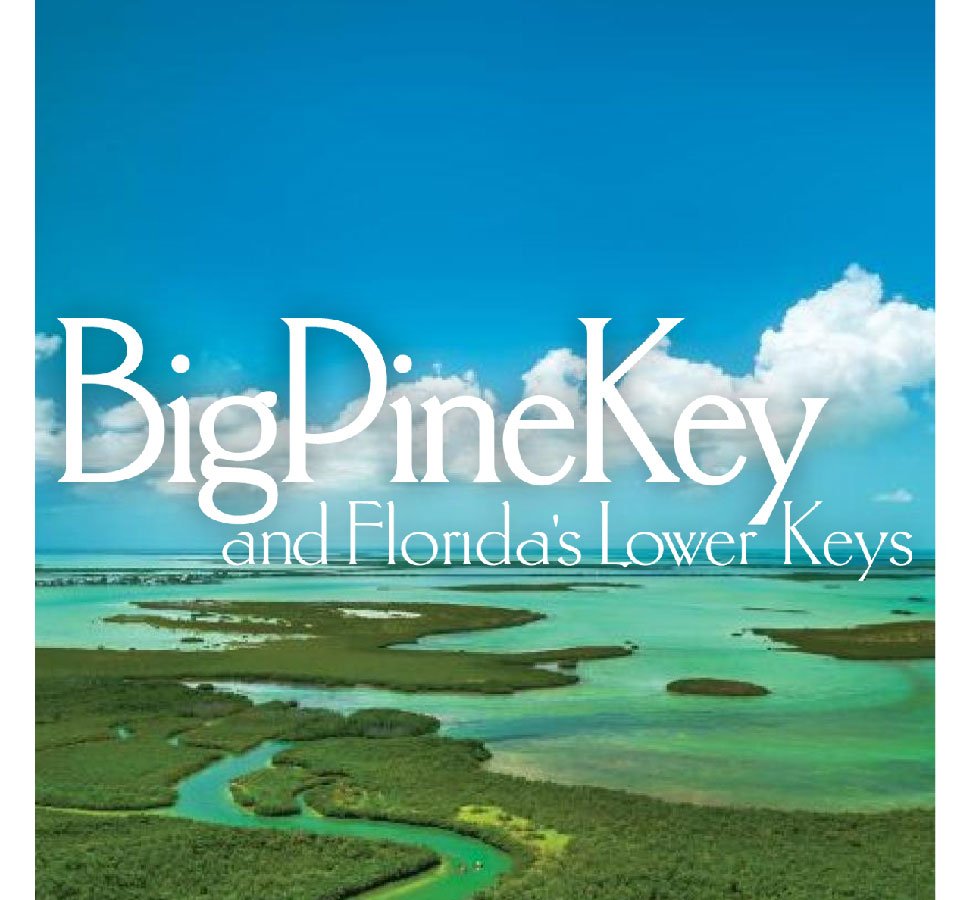 The Florida Keys Lower Keys.jpg