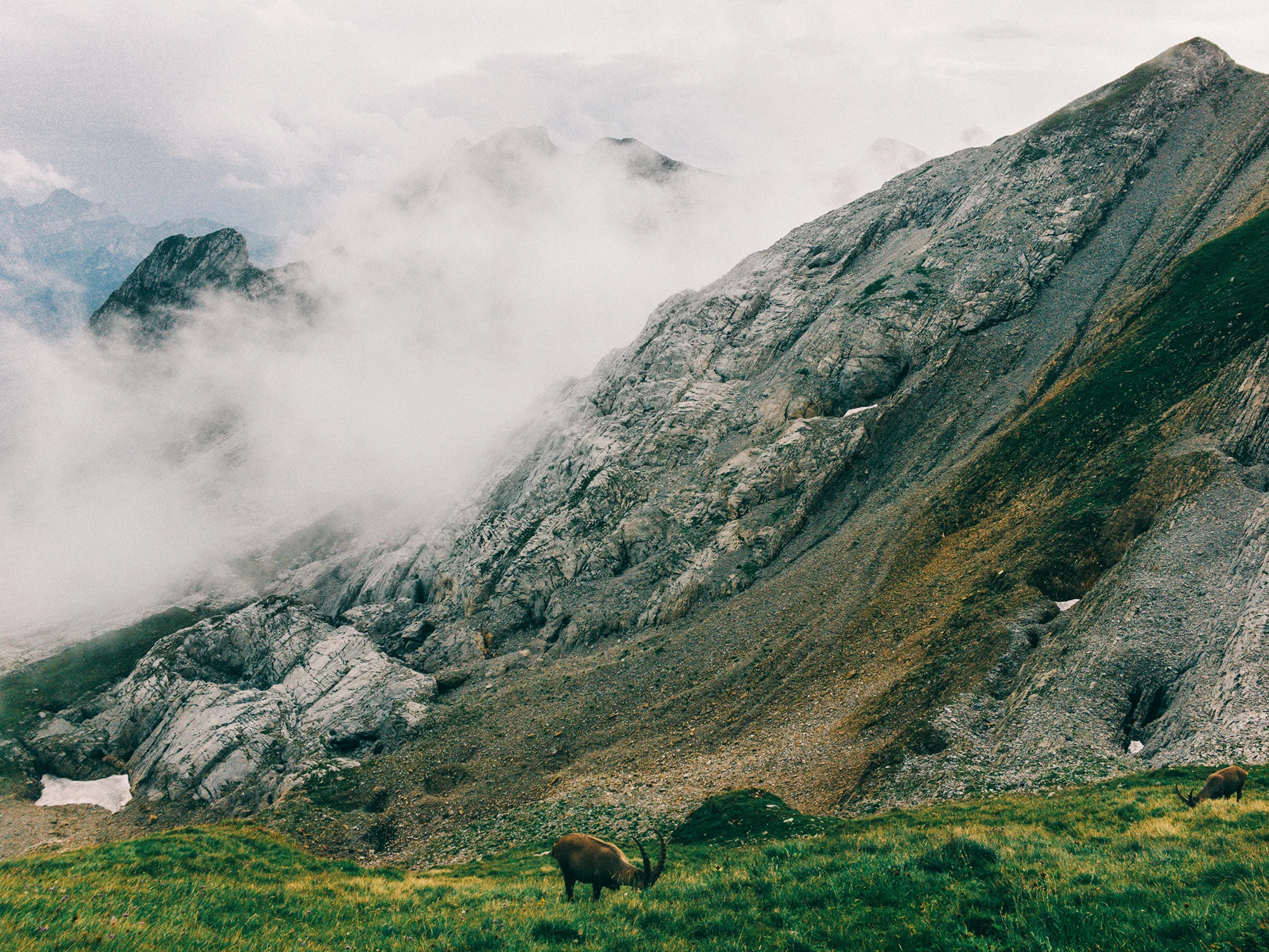 View towards Girespitz and Moor from Nädliger near Mount Altmann, on the way to Rotsteinpass.