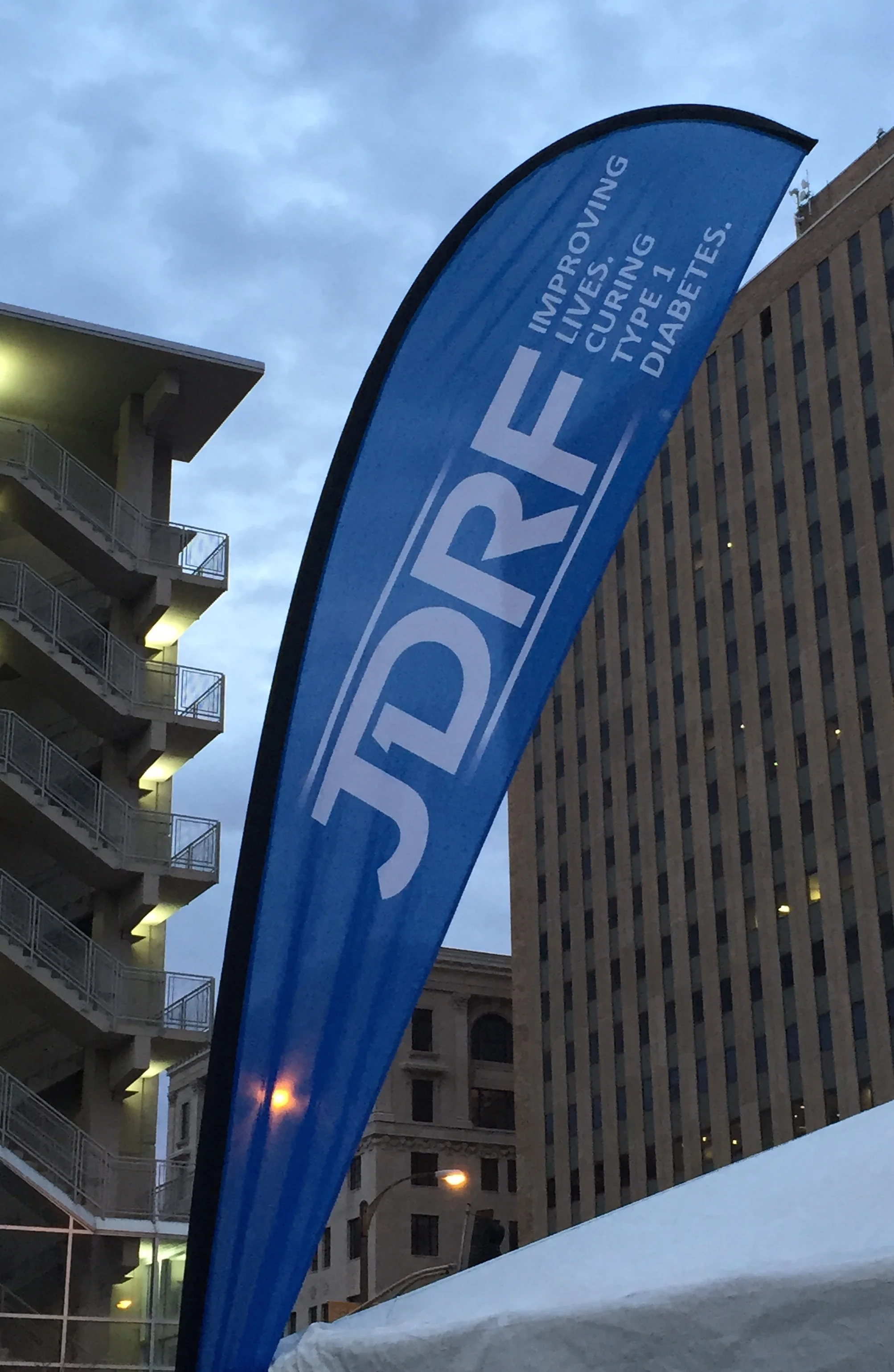 Go! St. Louis Marathon Relay, April 2015
