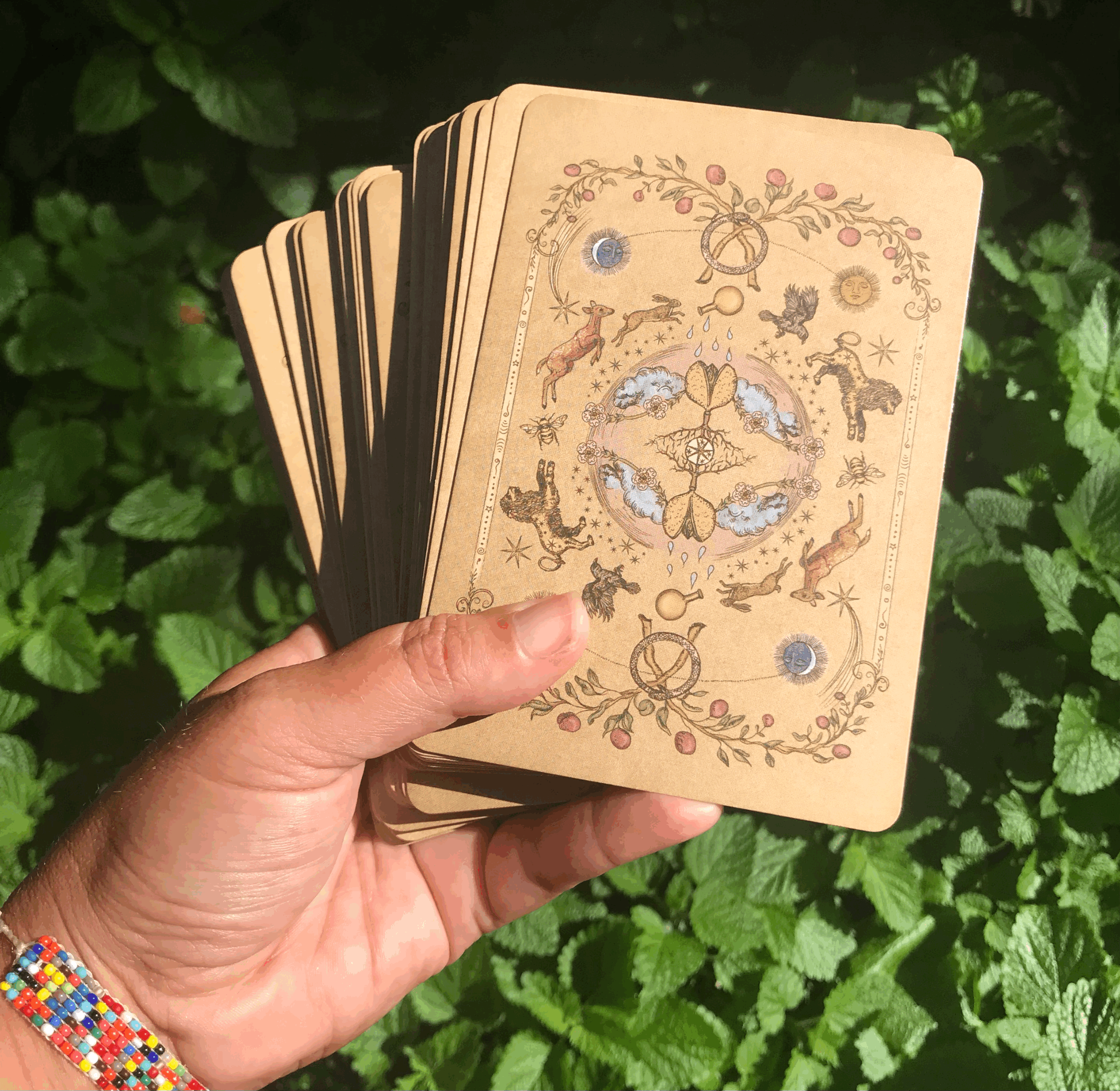 Intuitive Plant Reading