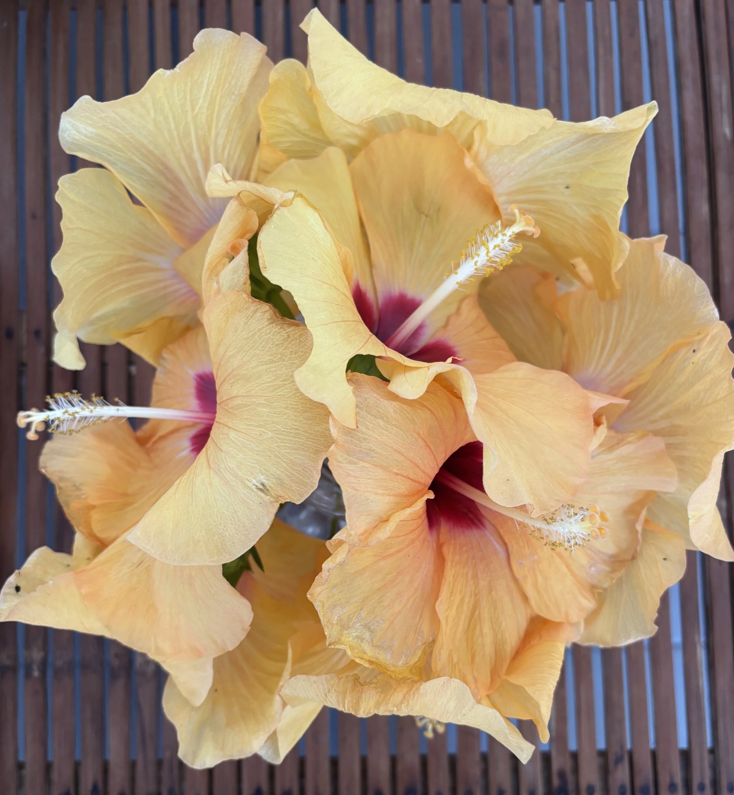 A reflection and a vision