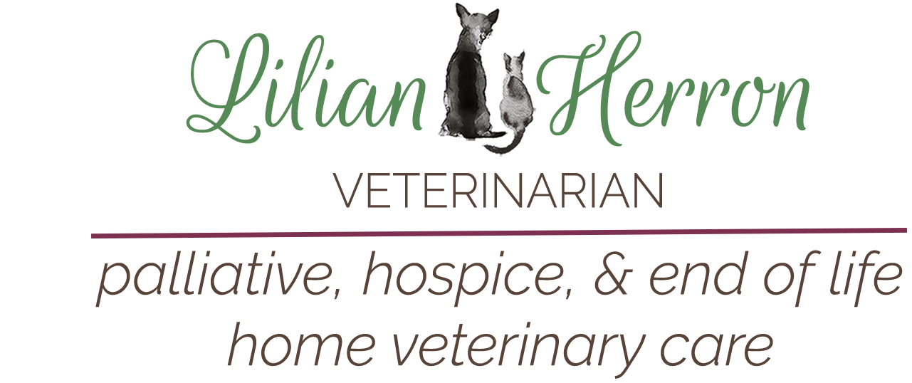 Exceptional home veterinary care: hospice & home euthanasia in Asheville, Hendersonville, Greenville, Spartanburg areas 