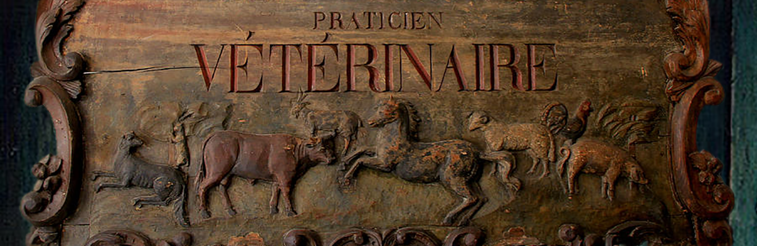 vintage-veterinarian-sign-andrew-fare-cropped.png