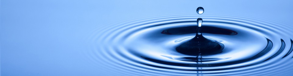 Statement of Purpose