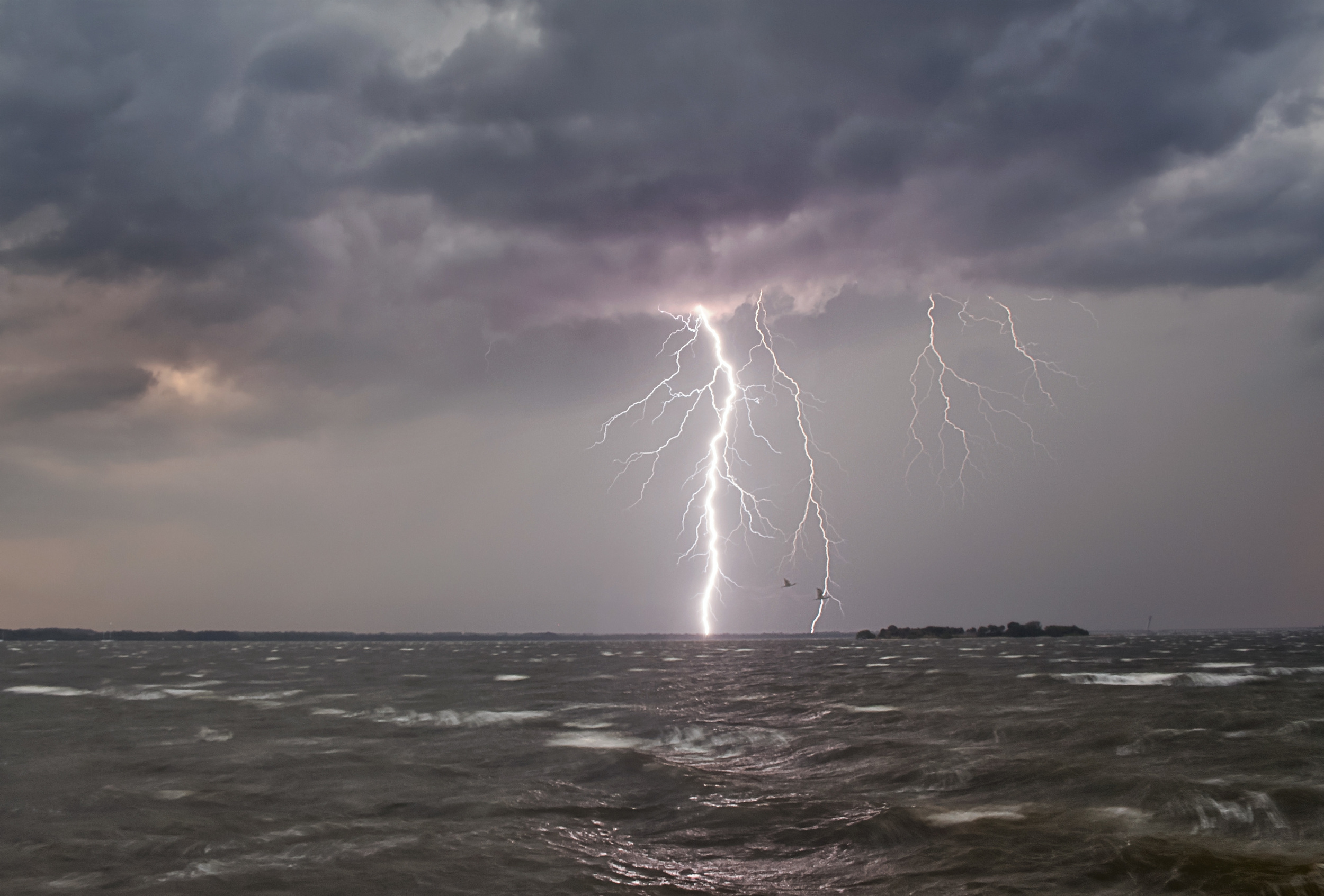  Two lightning strikes behind a pair of birds, over the Indian River in Titusville, Florida  