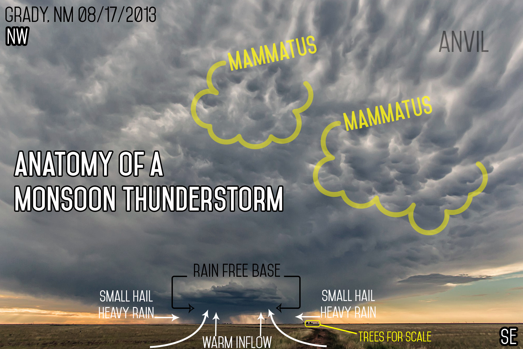Image : Gary Schmitt / Graphics : Savannah Williams 