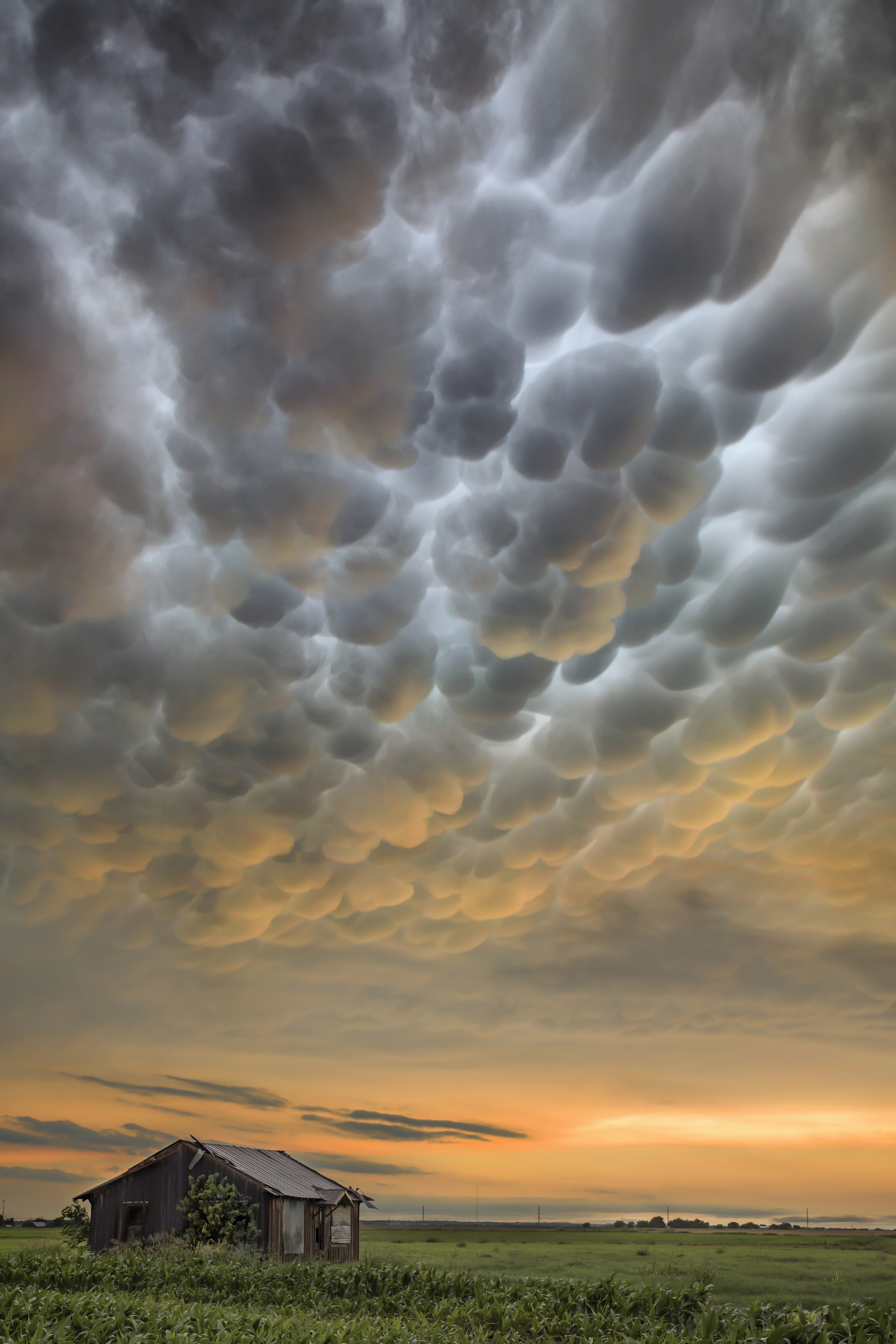 Mammatus clouds over Jonah, Texas after training tornadic supercells caused devastating flooding across the area. 