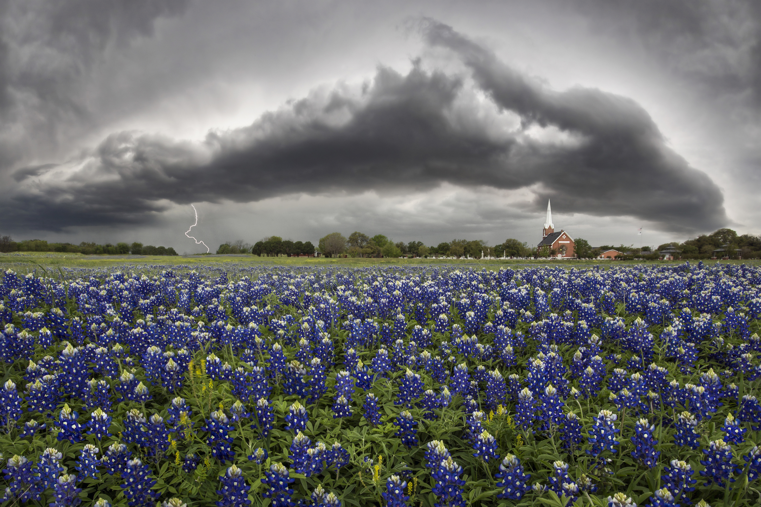 Bluebonnet Storm