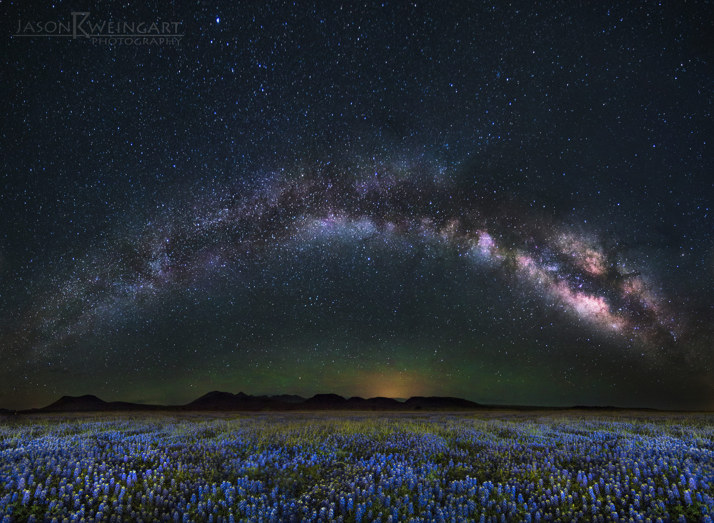 Bluebonnet Milky Way