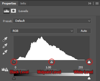 Levels Adjustment Layer Panel depicting the image's default histogram