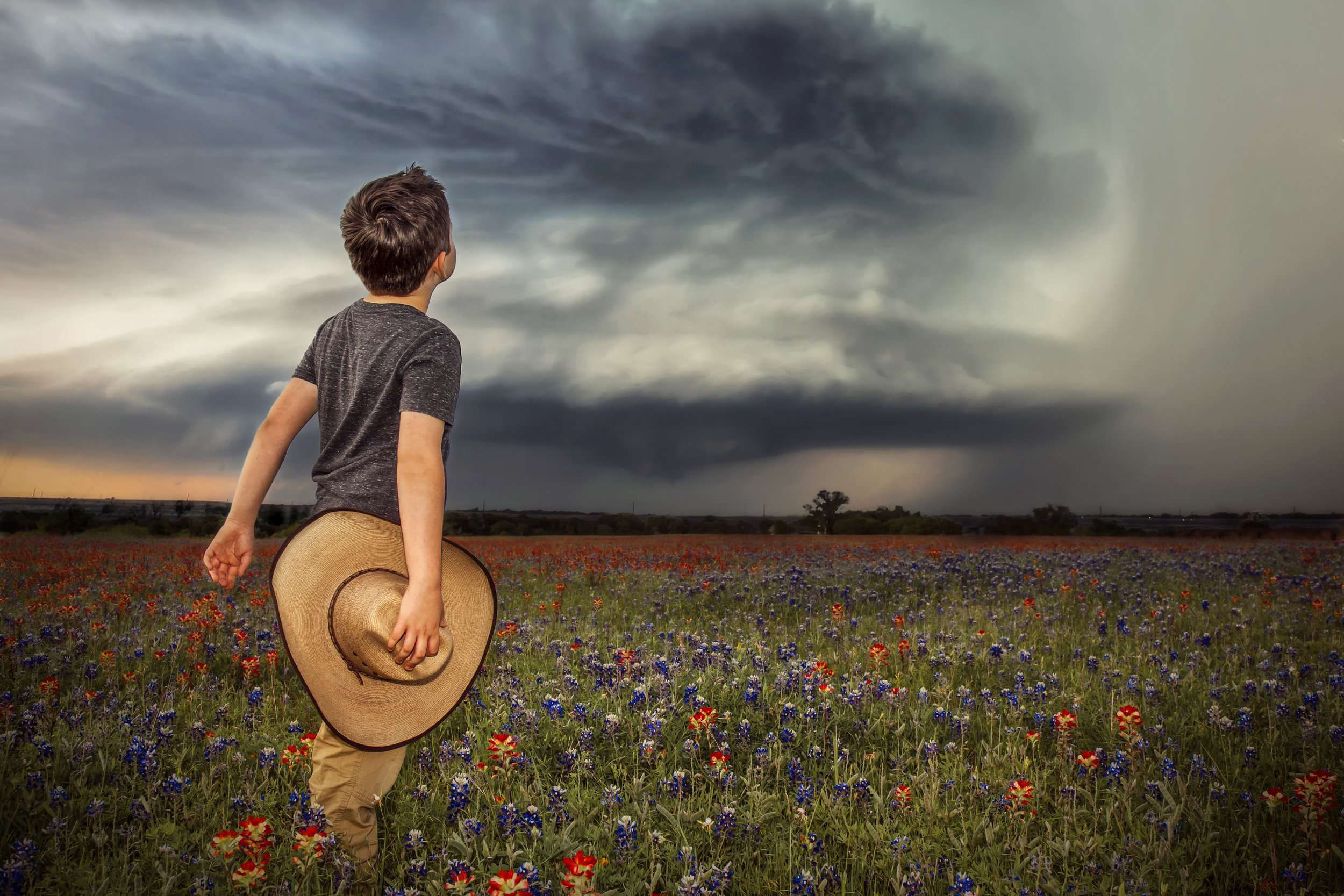 Texas Bluebonnet Portrait Sessions