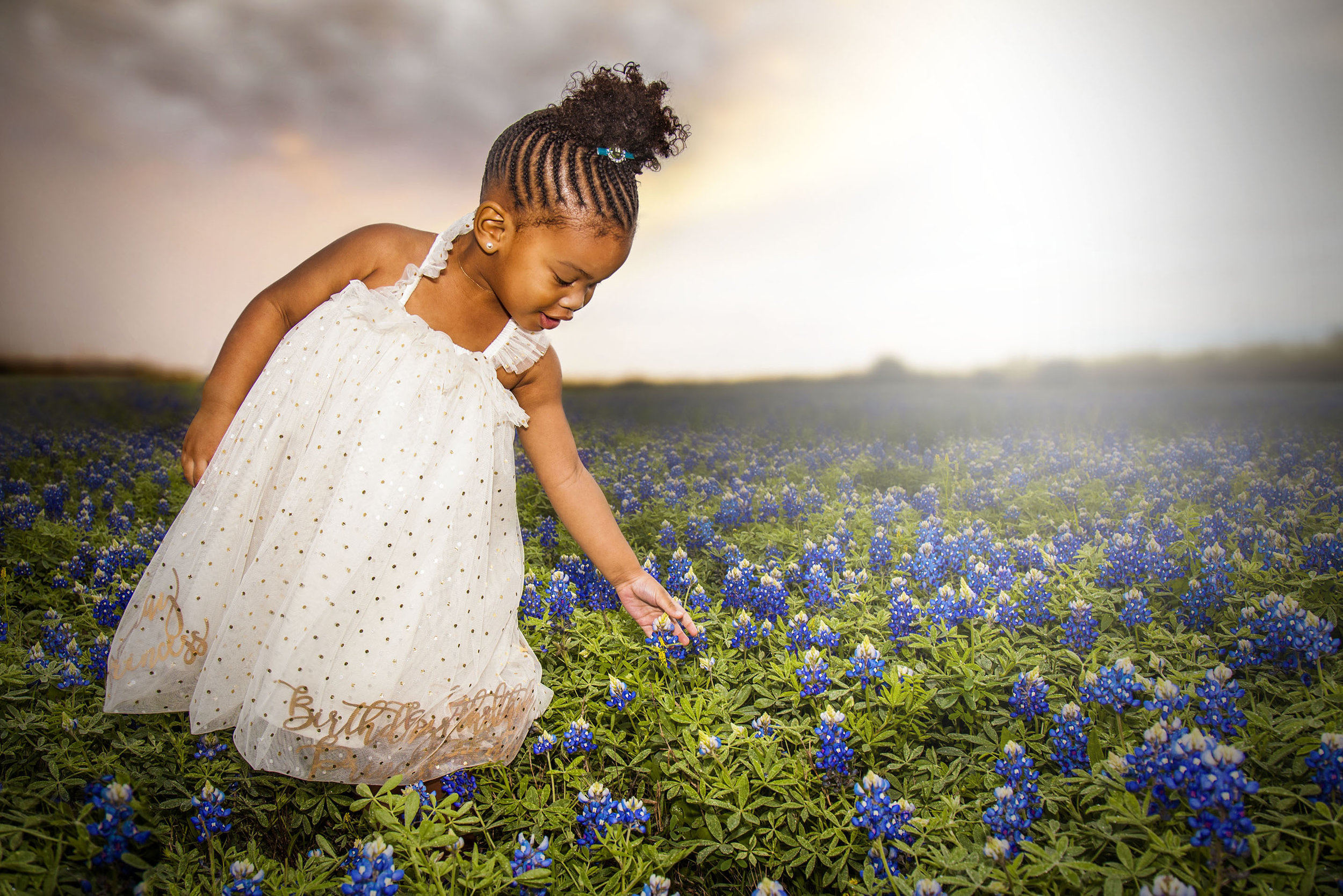 Texas Bluebonnet Portrait Sessions