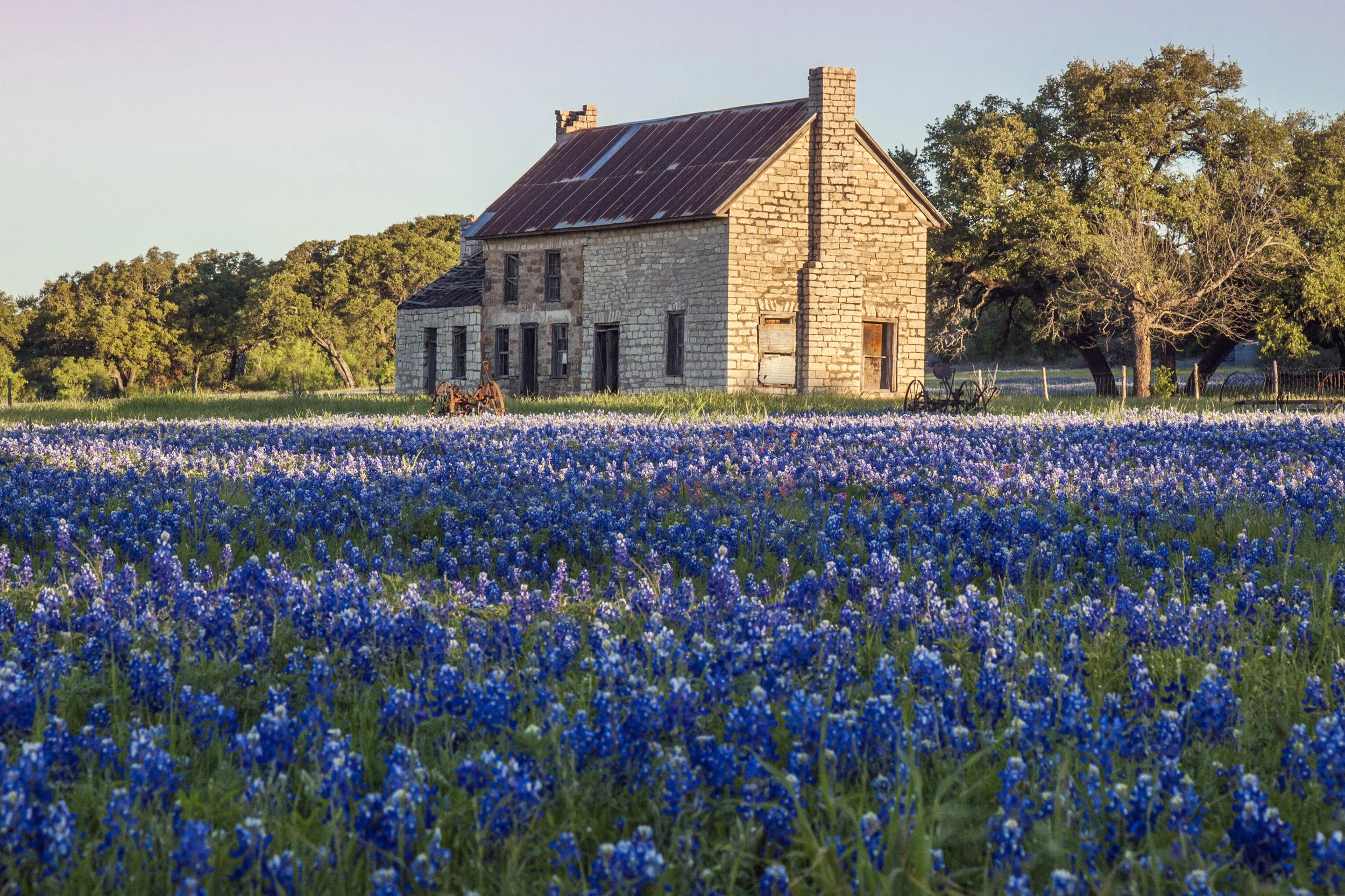 Texas Bluebonnet Workshop Jason Weingart Photography Bluebonnet Map 2022