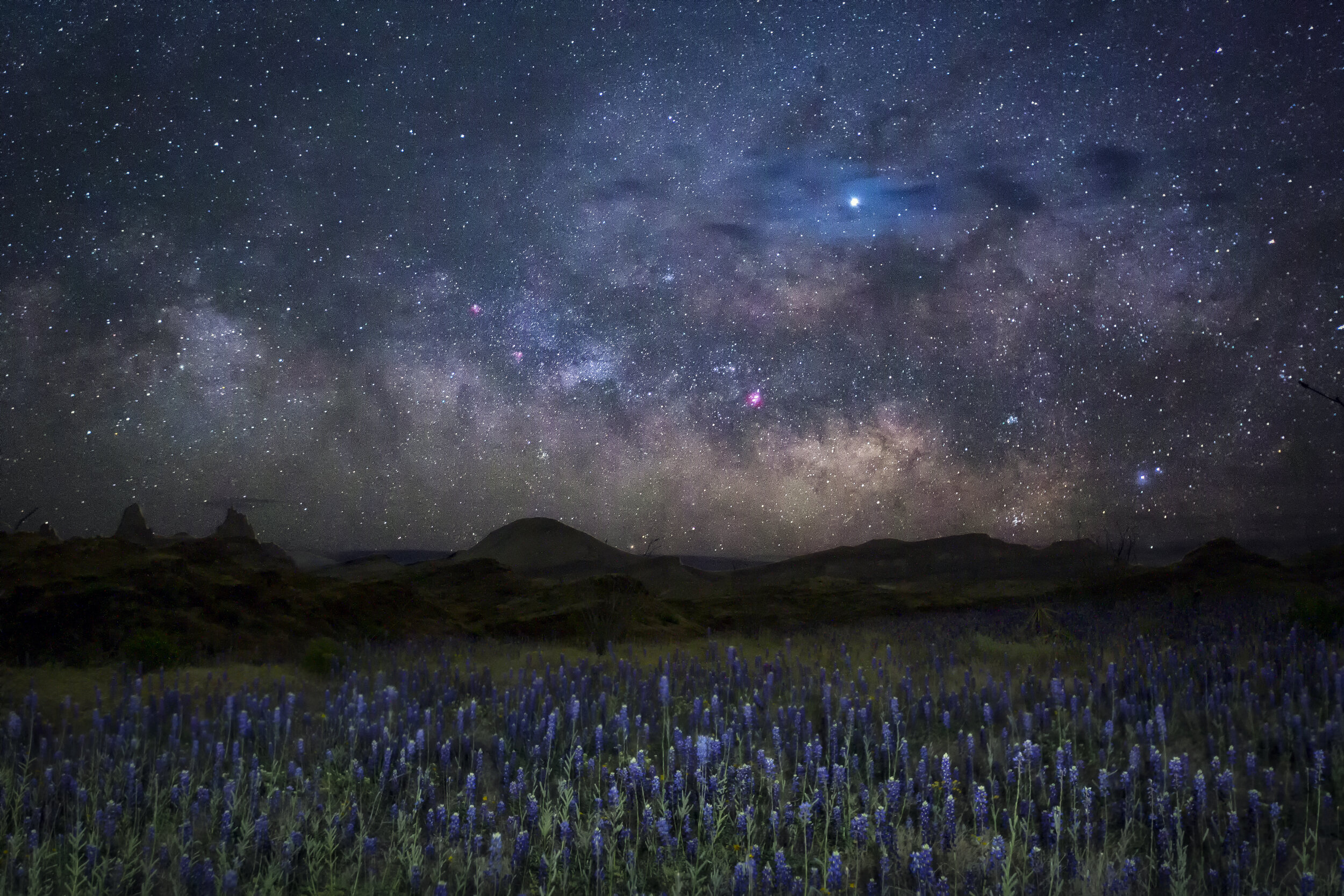 Bluebonnet National Park.jpg