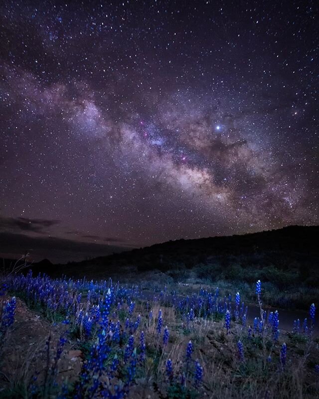 Less than two months until we kick off our 2020 workshops with astrophotography in Big Bend. Just a handful of spots left. Shot is from our 2019 spring astro workshop. 
#milkyway #galaxy #texas #bluebonnets #photographyworkshop