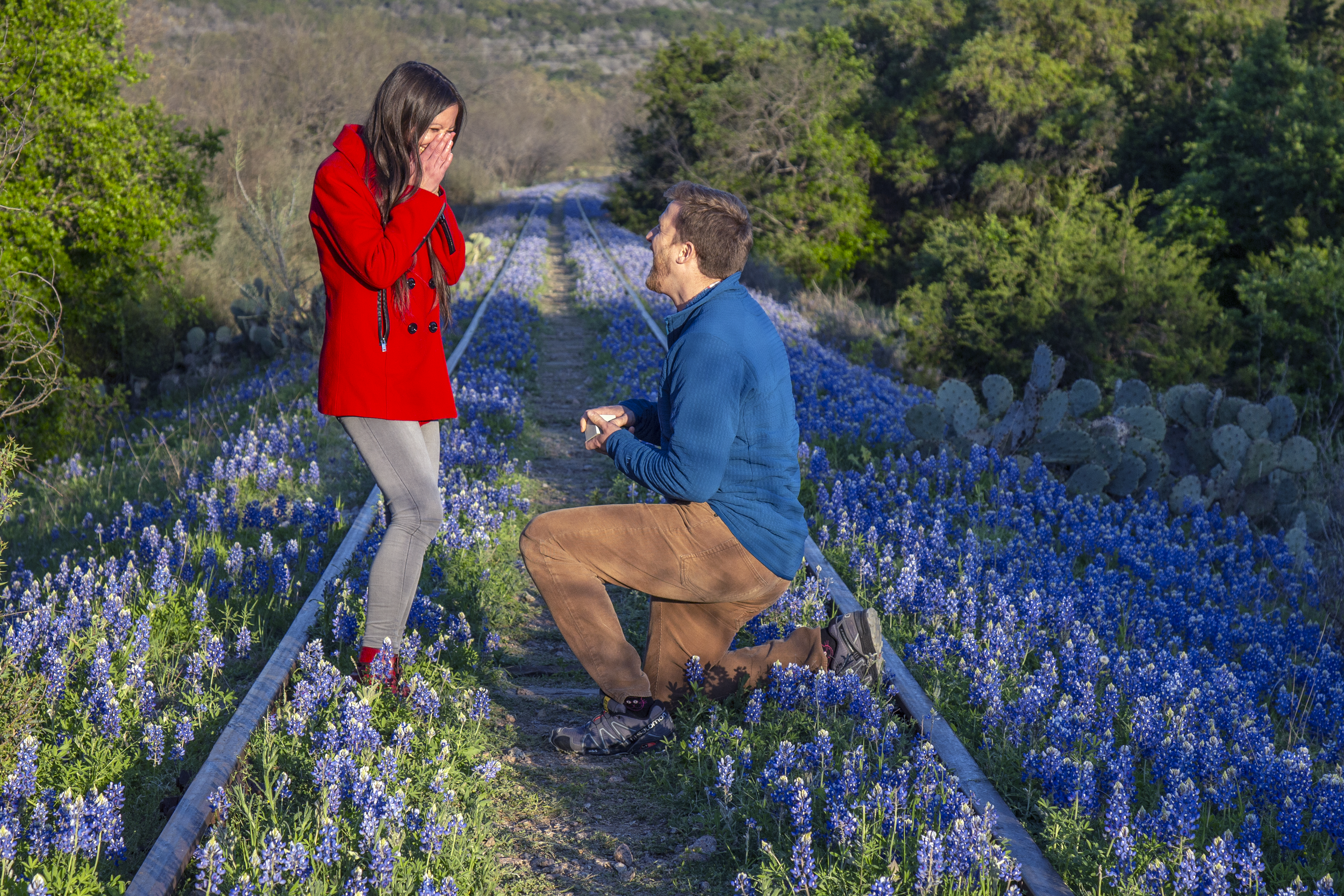 Texas Bluebonnet Portrait Sessions