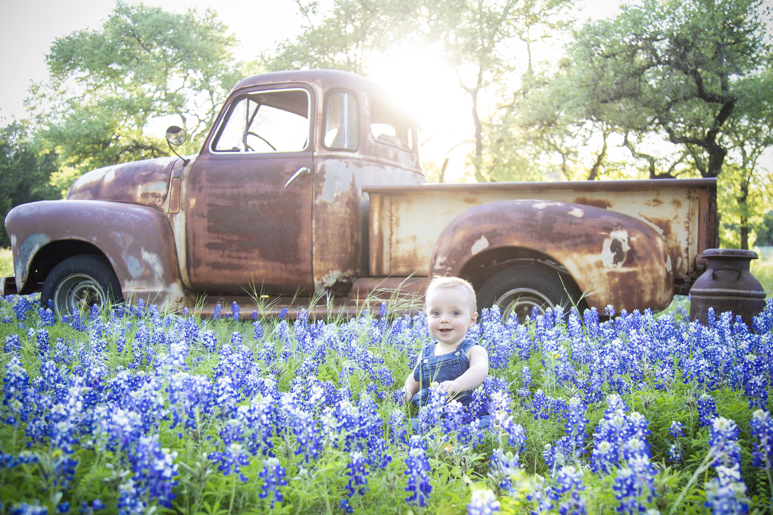 Texas Bluebonnet Portrait Sessions