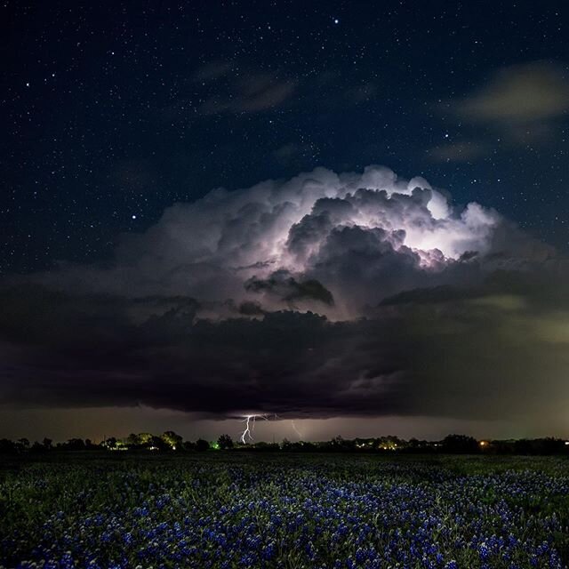 Thunderstorm over a field of bluebonnets during one of our Texas Bluebonnet Tours. 
#Texas #HillCountry #Bluebonnets #Storm #Wildflowers