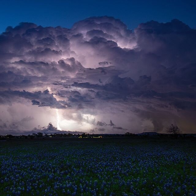 Tornado warned supercell over Leander, Texas very early this morning. This storm produced multiple tornadoes across Central Texas. This field is very close to our home and will likely be my only bluebonnet picture of the season.
#tornado #storm #texa