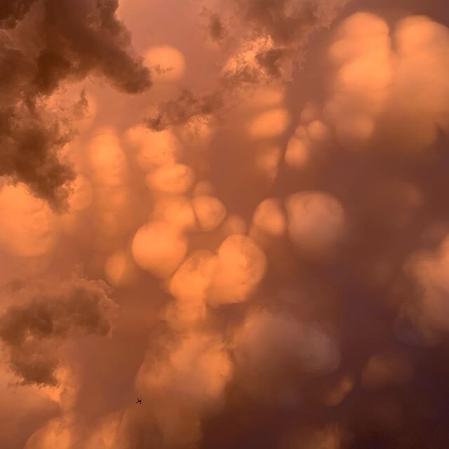 Incredible skies in Texas this week! Guests got to experience Hill Country flooding firsthand as we came across nearly 2 feet of water rushing across the road. Our report lead to a Flash Flood Warning being issued by NWS. Heading north for a few days