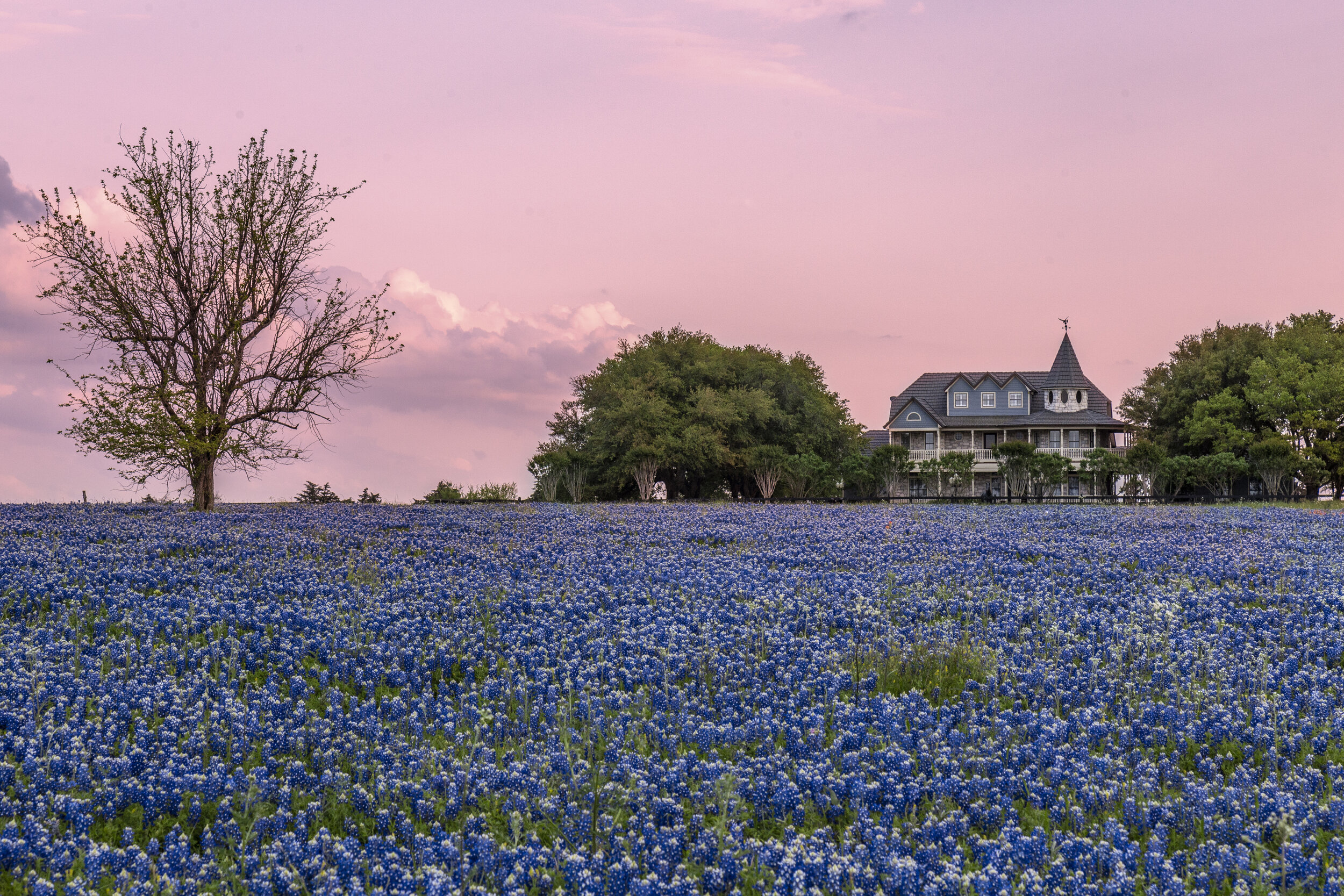 The Ten Best Spots in Texas to See Bluebonnets in 2021 — Jason Weingart  Photography