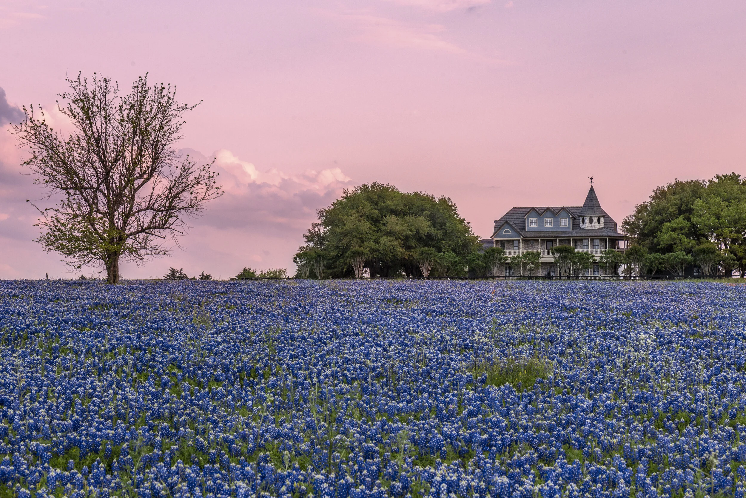 The Ten Best Spots in Texas to See in 2016. — Jason