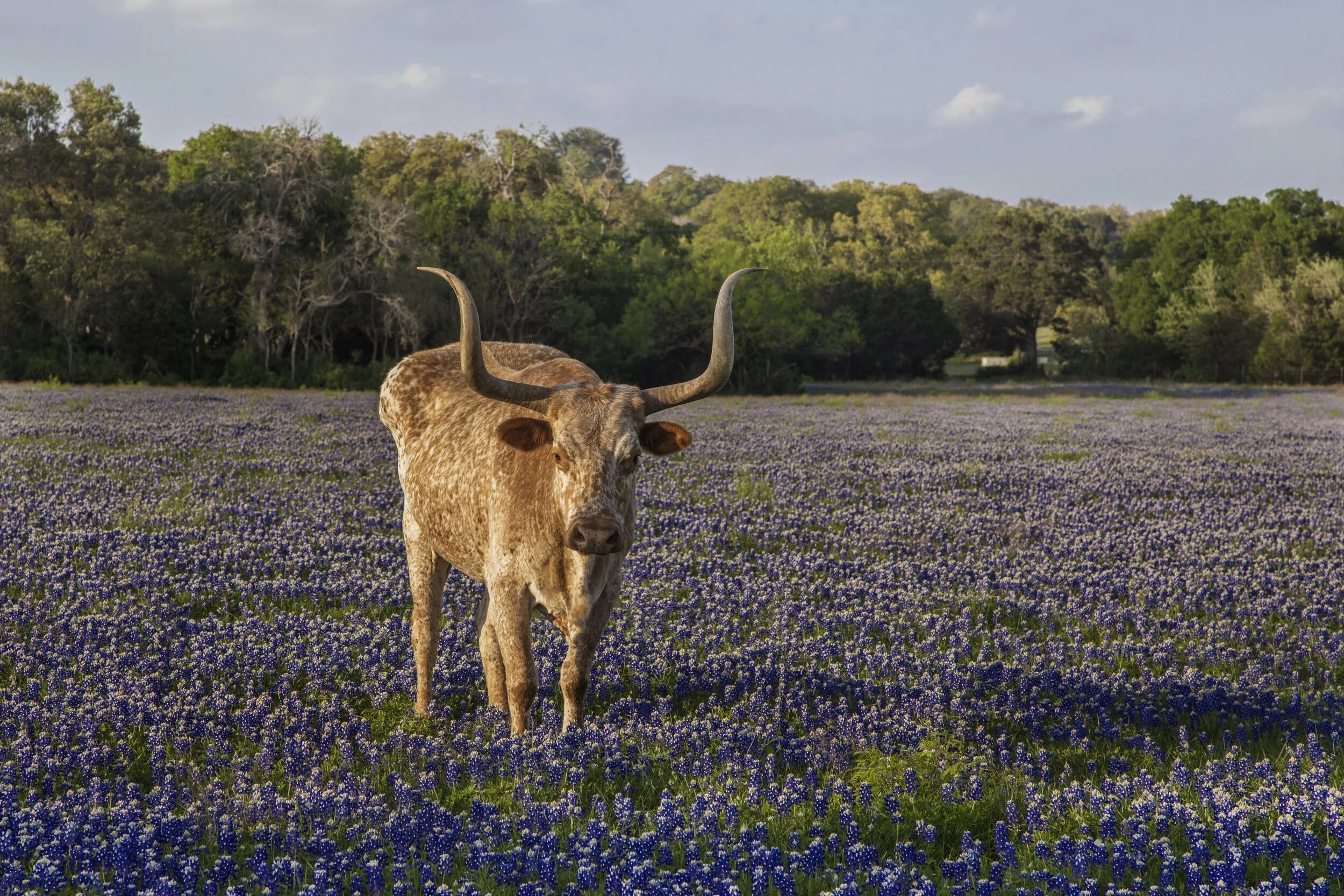 Jason_Weingart_Landscape_Photography_278.jpg