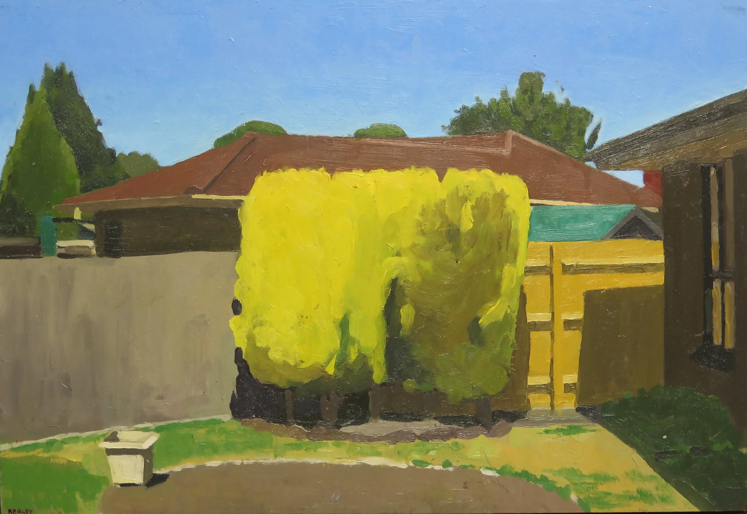   Back Fence , 2014  oil on board  42 x 61 cm  for sale    Alice Prize 2014, finalist 