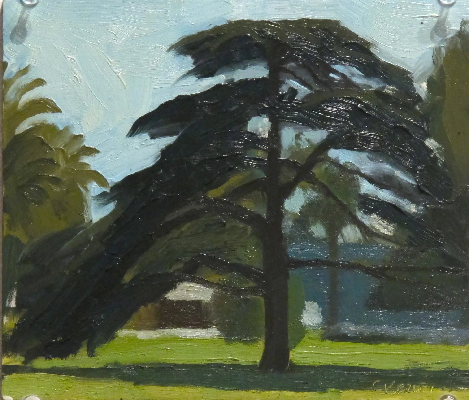   Tree in Caulfield Park , 2013  oil on board  for sale 