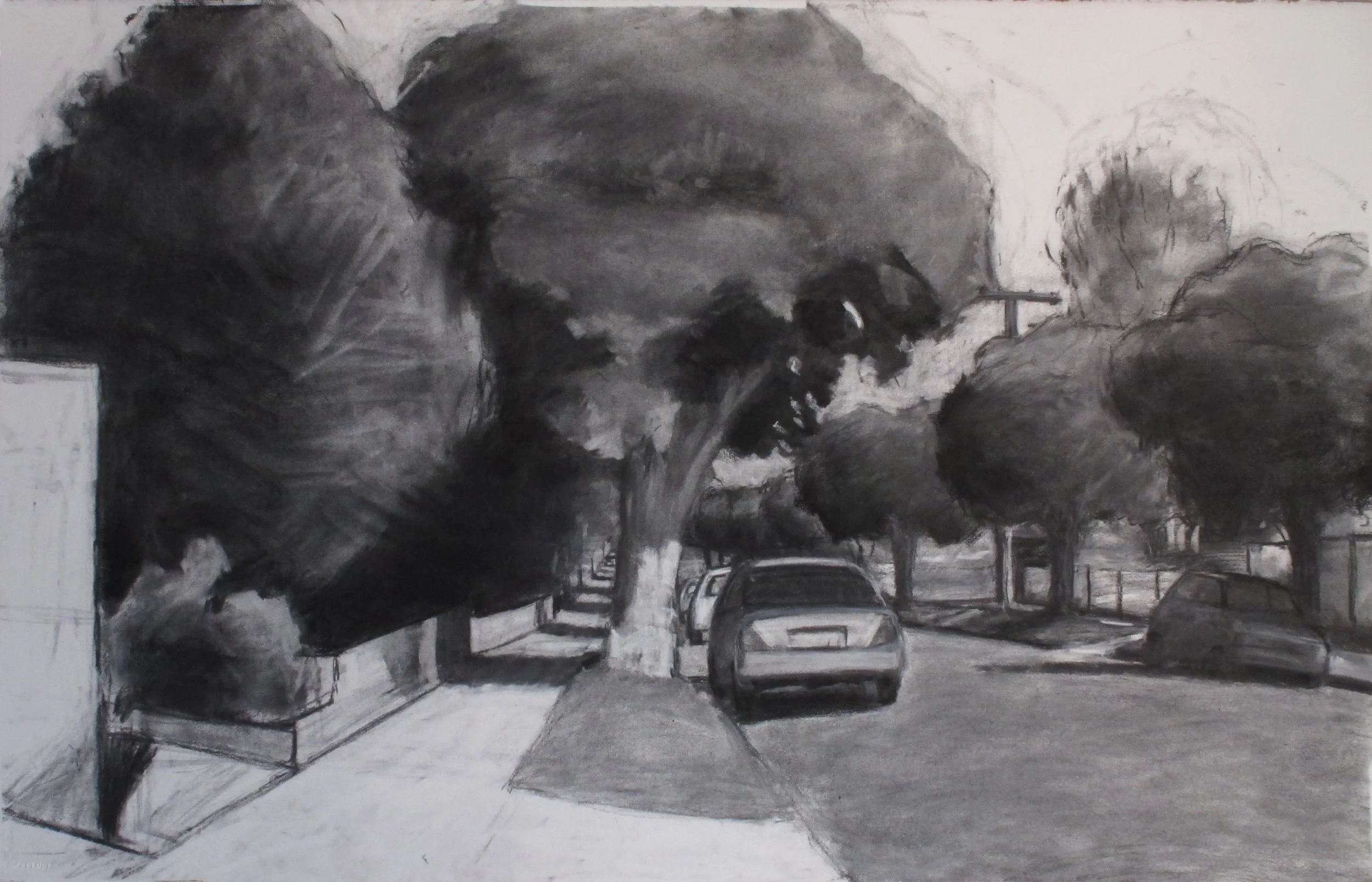   Prahran Grove , 2014  charcoal on paper  for sale 