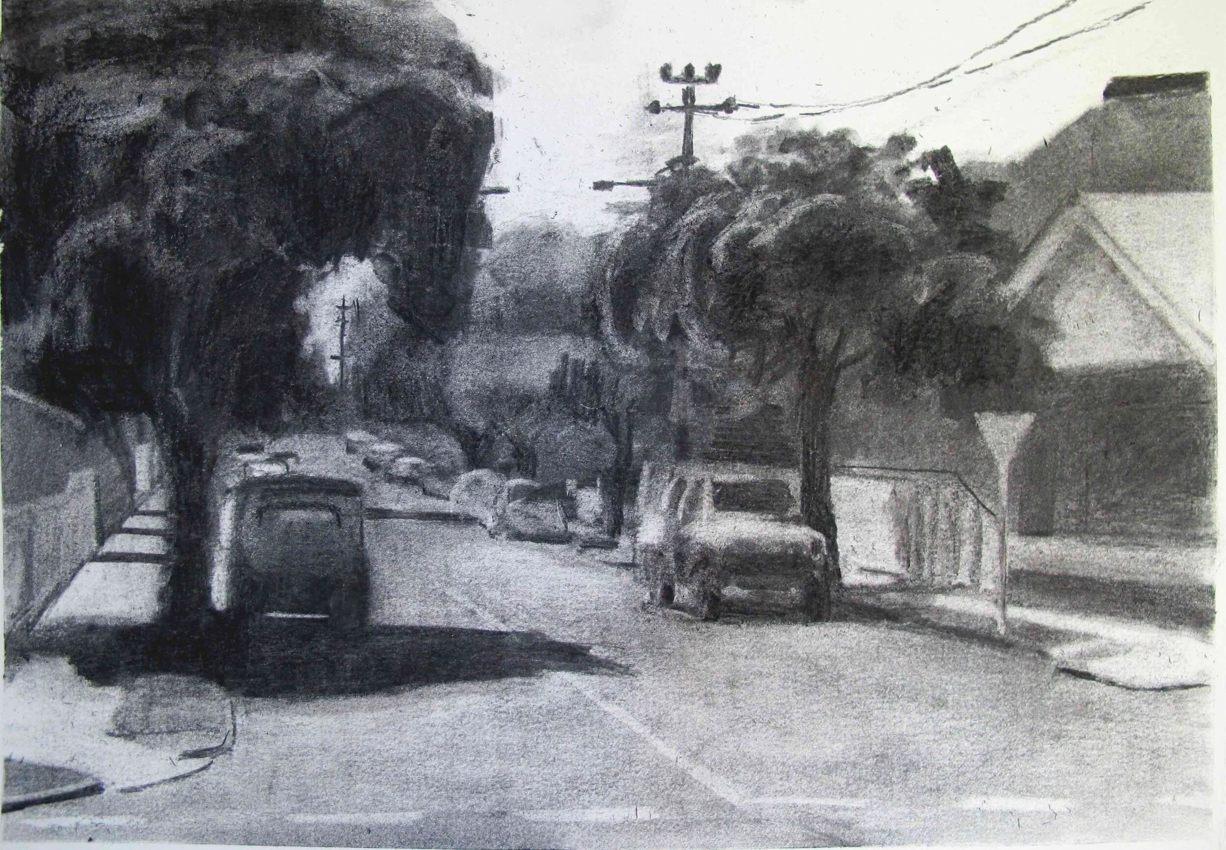 Street , 2012  charcoal on paper  31 x 43 cm   acquired by the Art Gallery of Ballarat     Rick Amor Prize for Drawing 2012, finalist