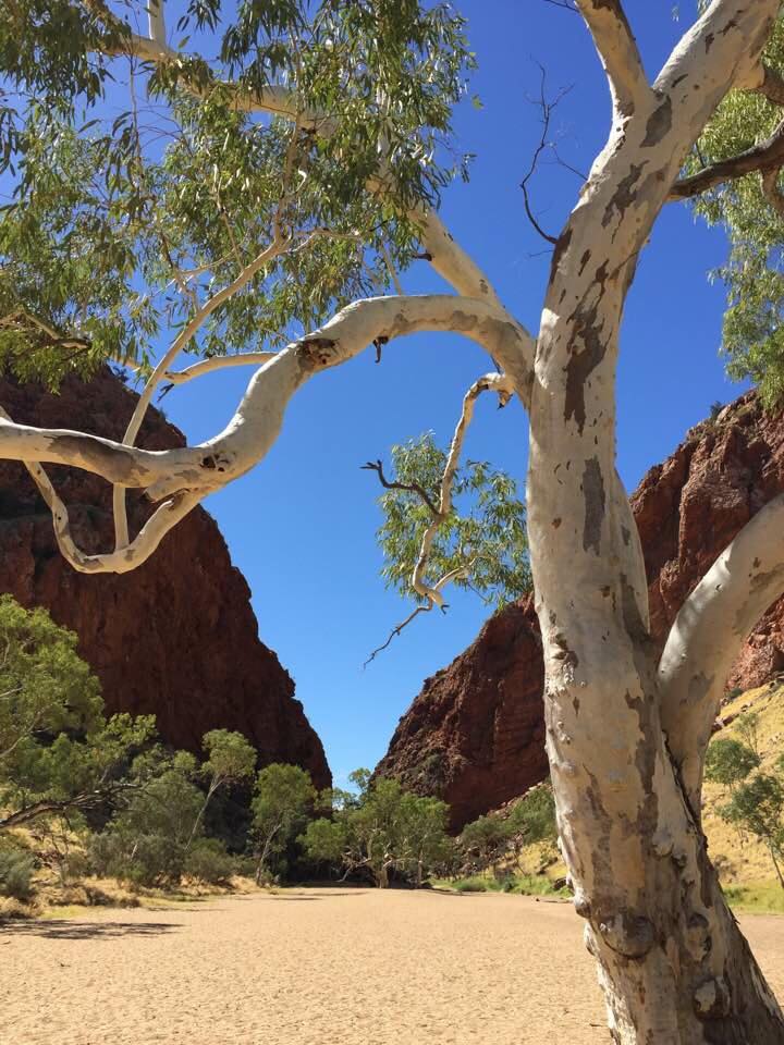 Simpsons Gap creek bed&nbsp;