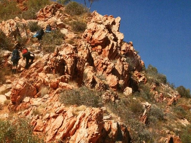 Larapinta section 5.jpg