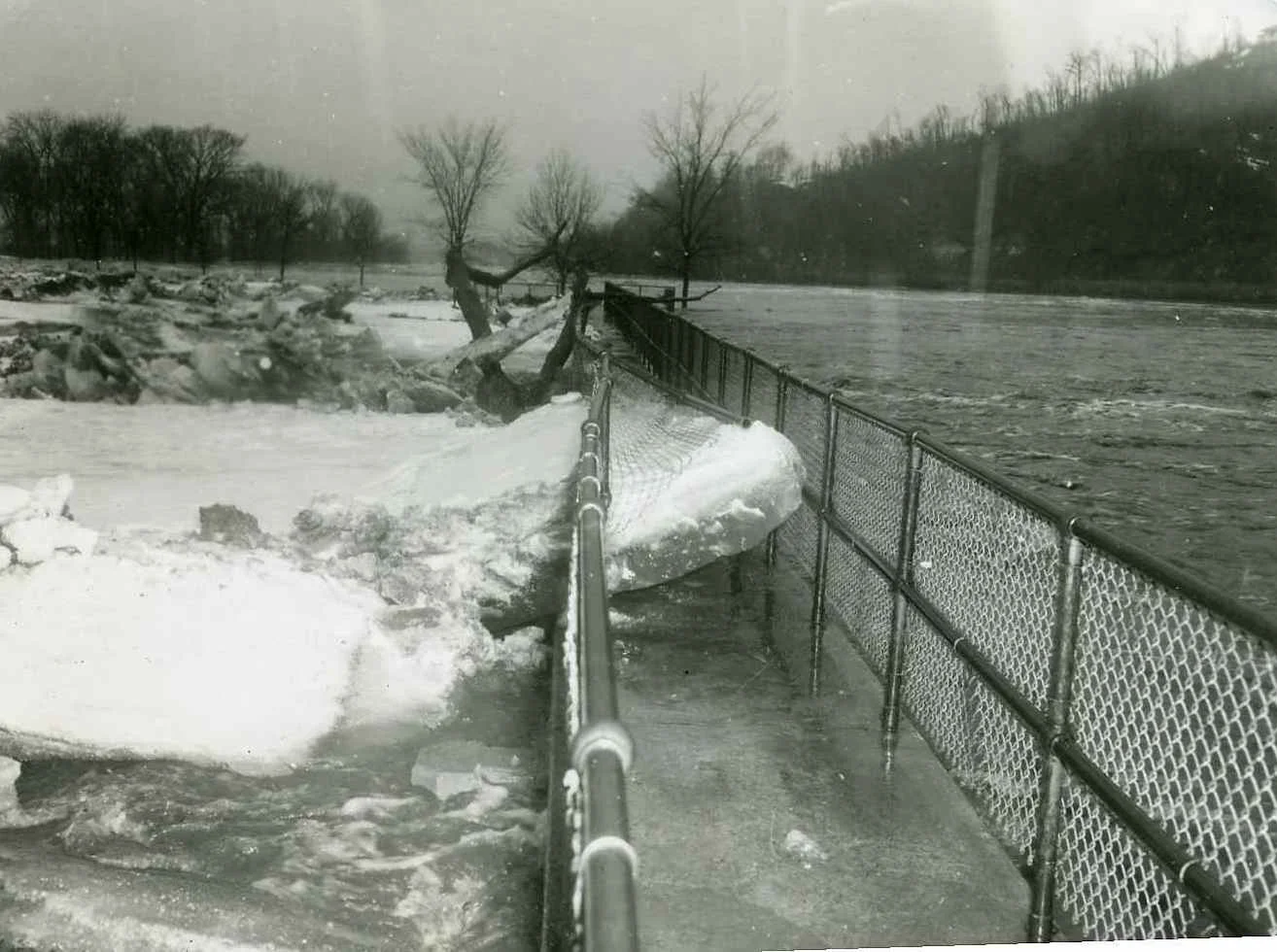 Copy of Copy of flood No Kato 1951002.jpg