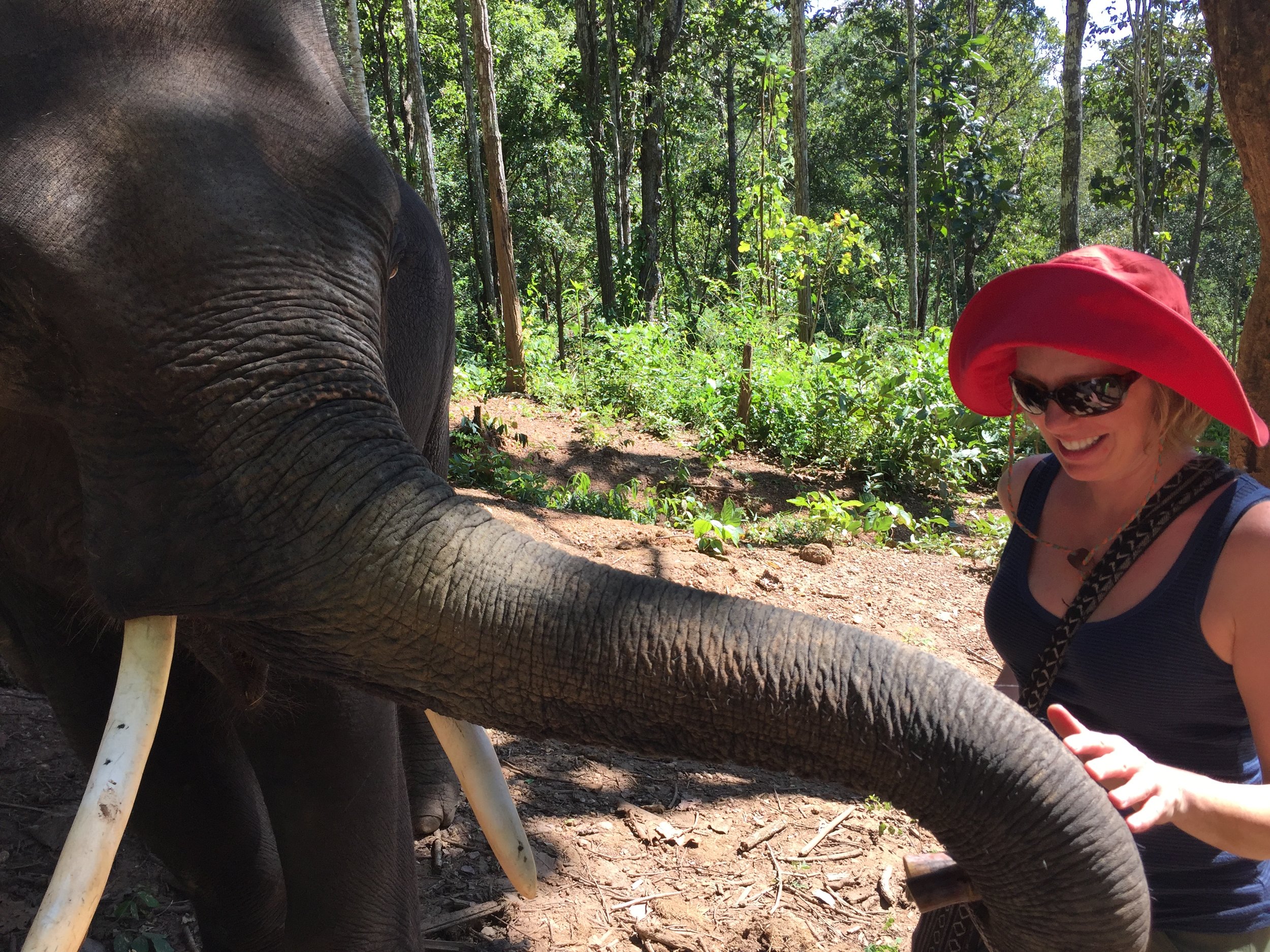 Chiang Mai