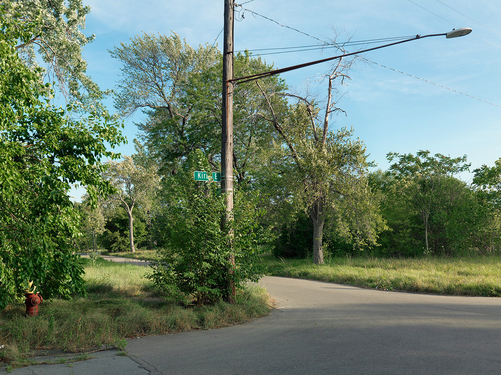 Corner-of-Kirby-and-Canton,-Detroit-2015_6589515.jpg