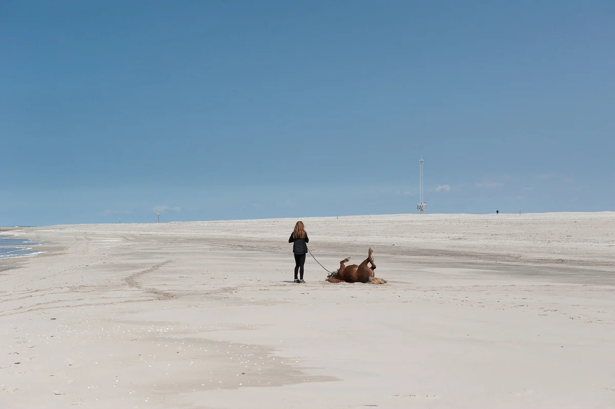 LAND THIEVES: A war on rising tides