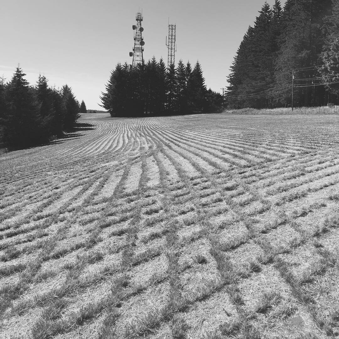 #baldpeak #blackandwhite #bnw #terratoryjournal www.terratory.org