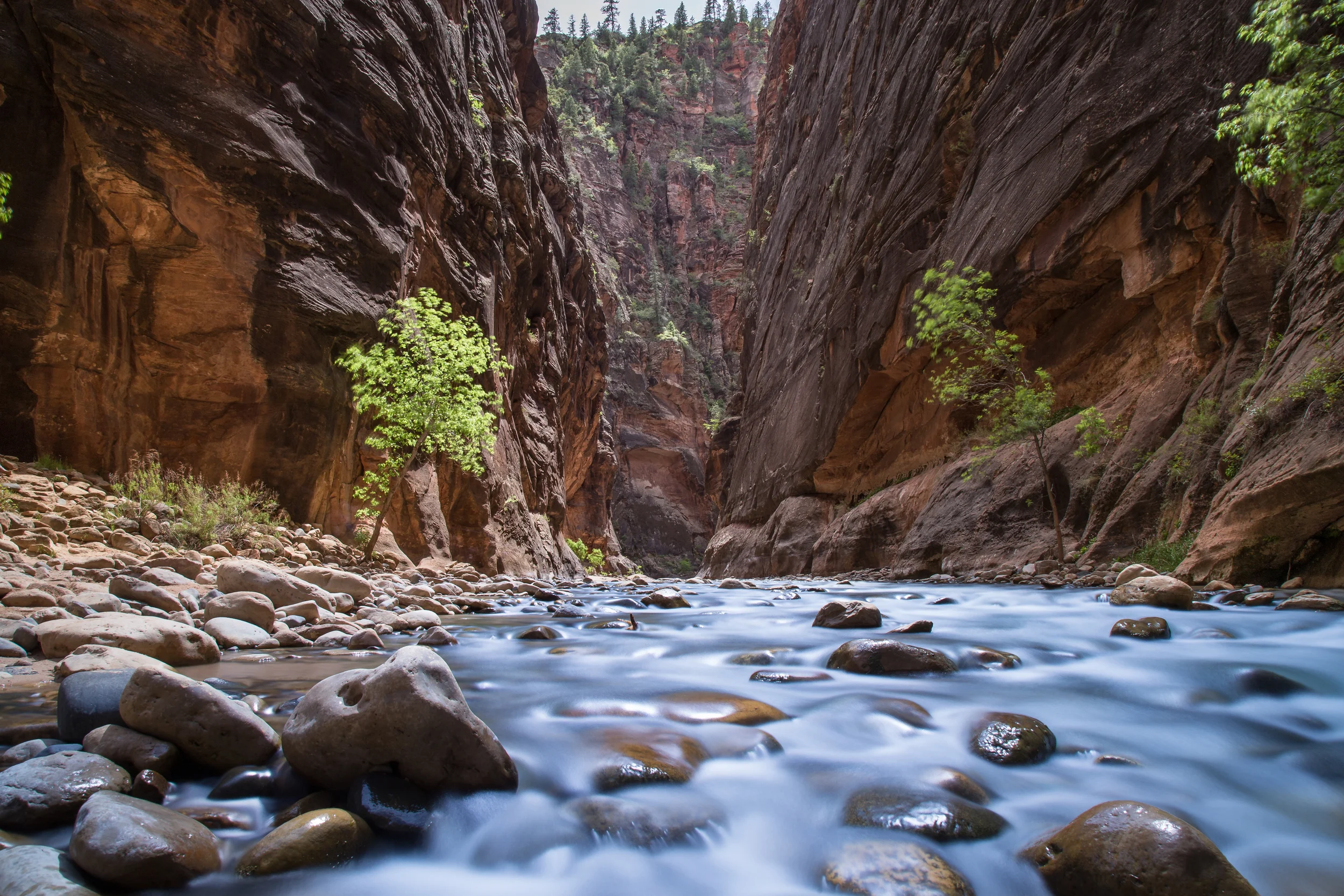 Hiking the Narrows