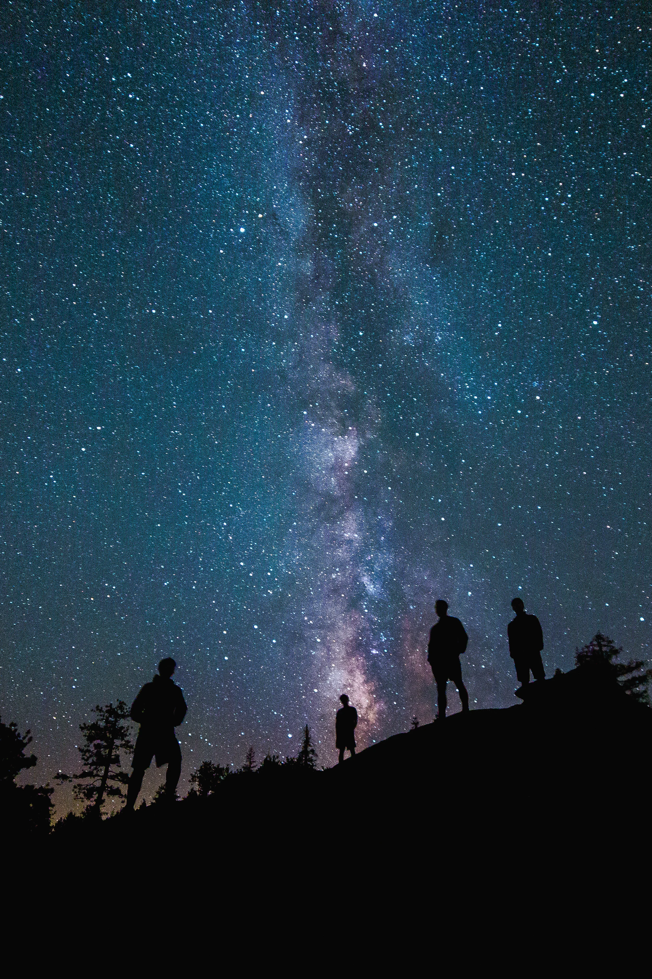 Milky Way Silhouette