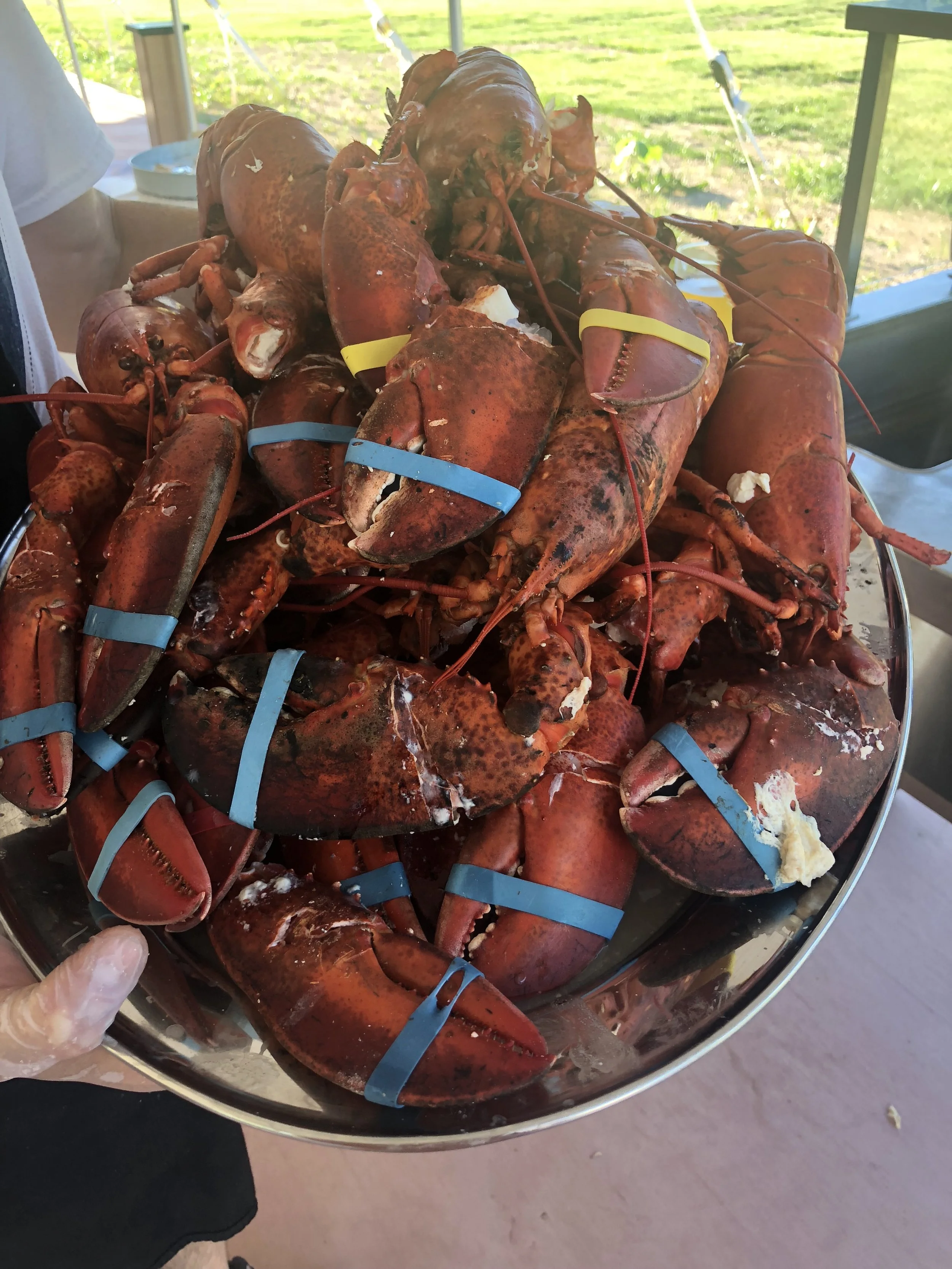 LOBSTER NIGHT